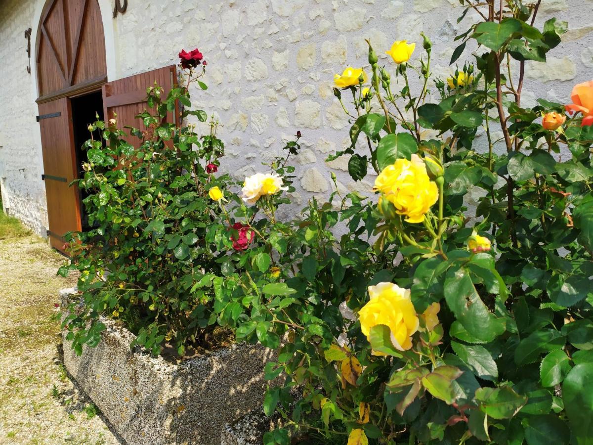 Maison d'hôtes La Belle Etoile